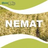 NEMAT